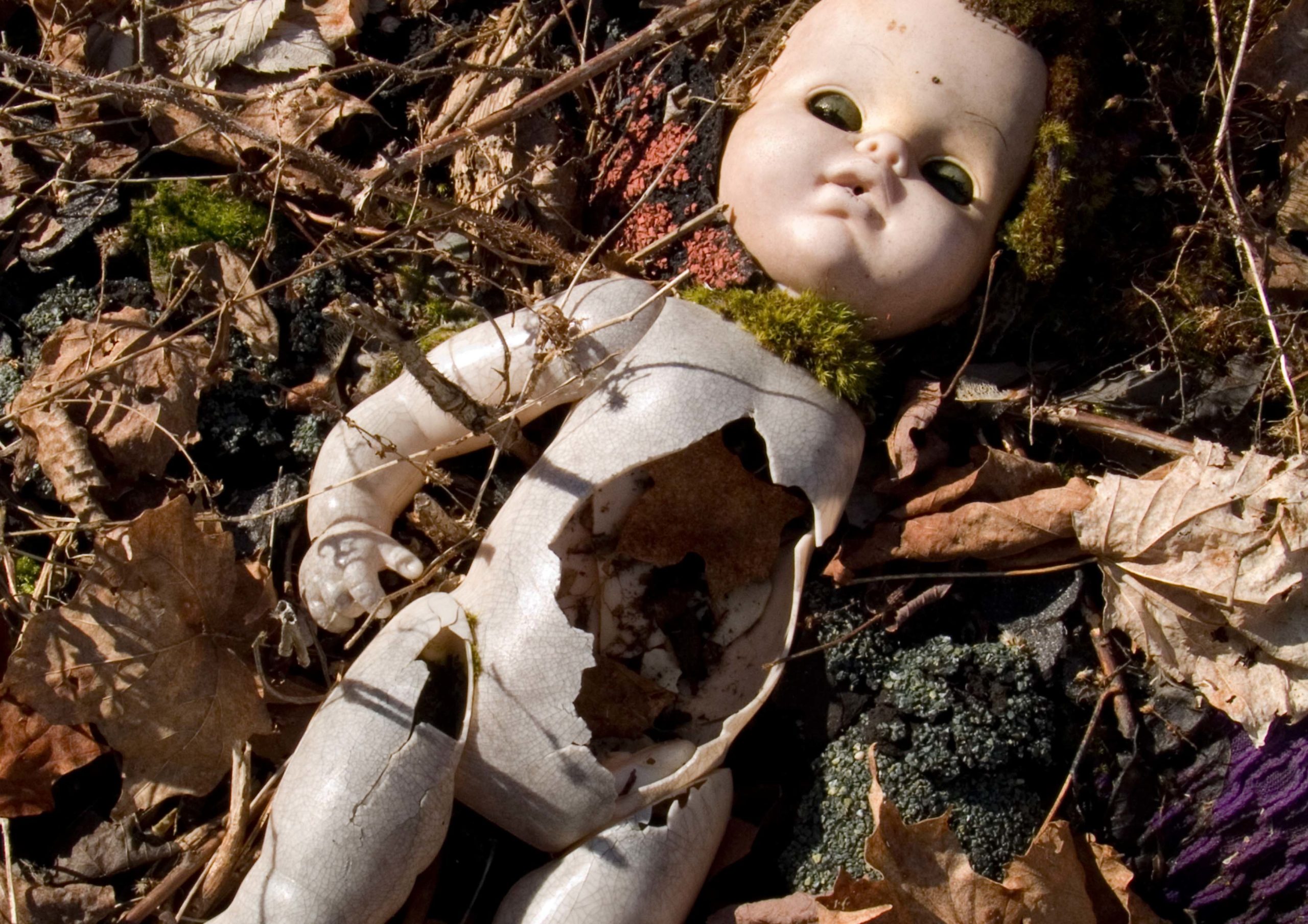 A baby doll, completely destroyed and broken, lays amongst a mess of dead leaves, twigs, and moss.
