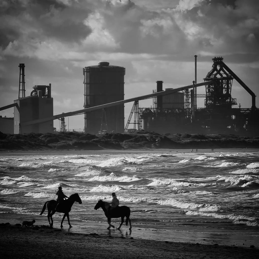 Two horses stood on the shore of a beach. There is an foggy, industrial looking city in the background.