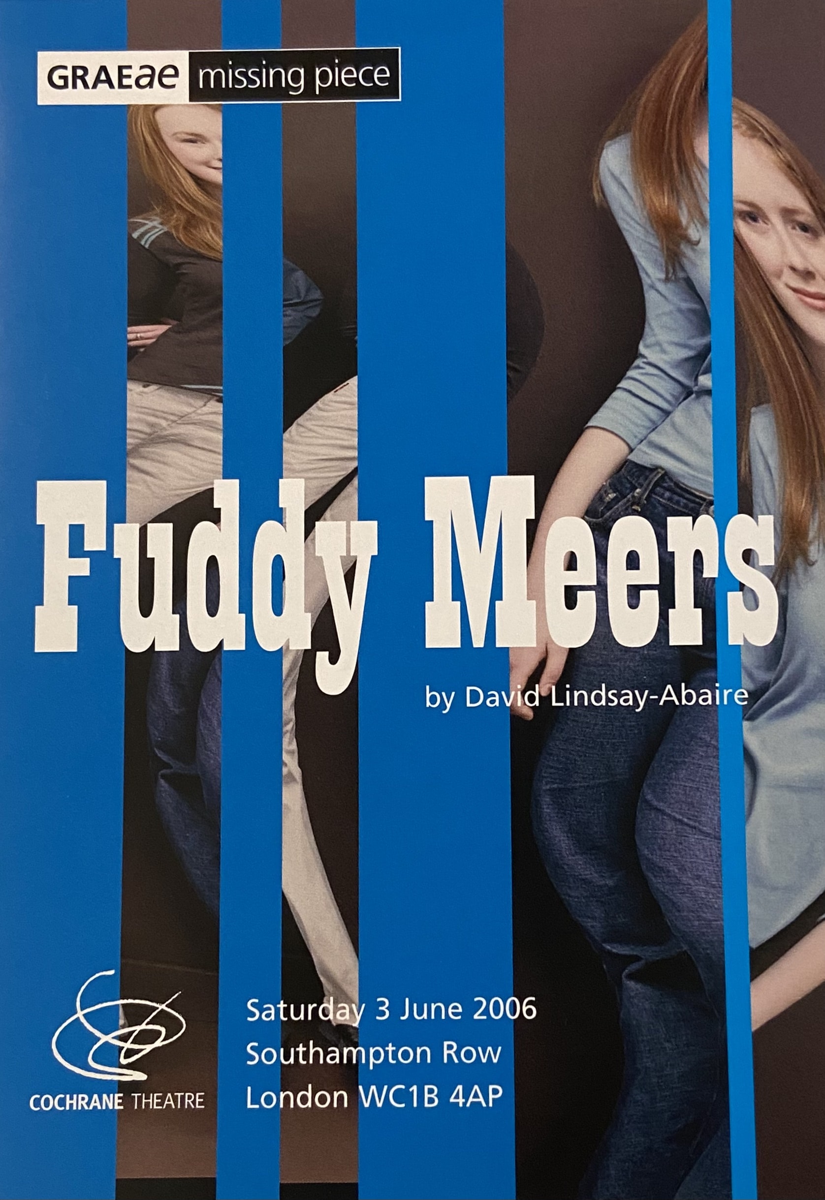 Poster for Fuddy Meers. A regular picture of two women is distorted and broken up by thick blue lines.